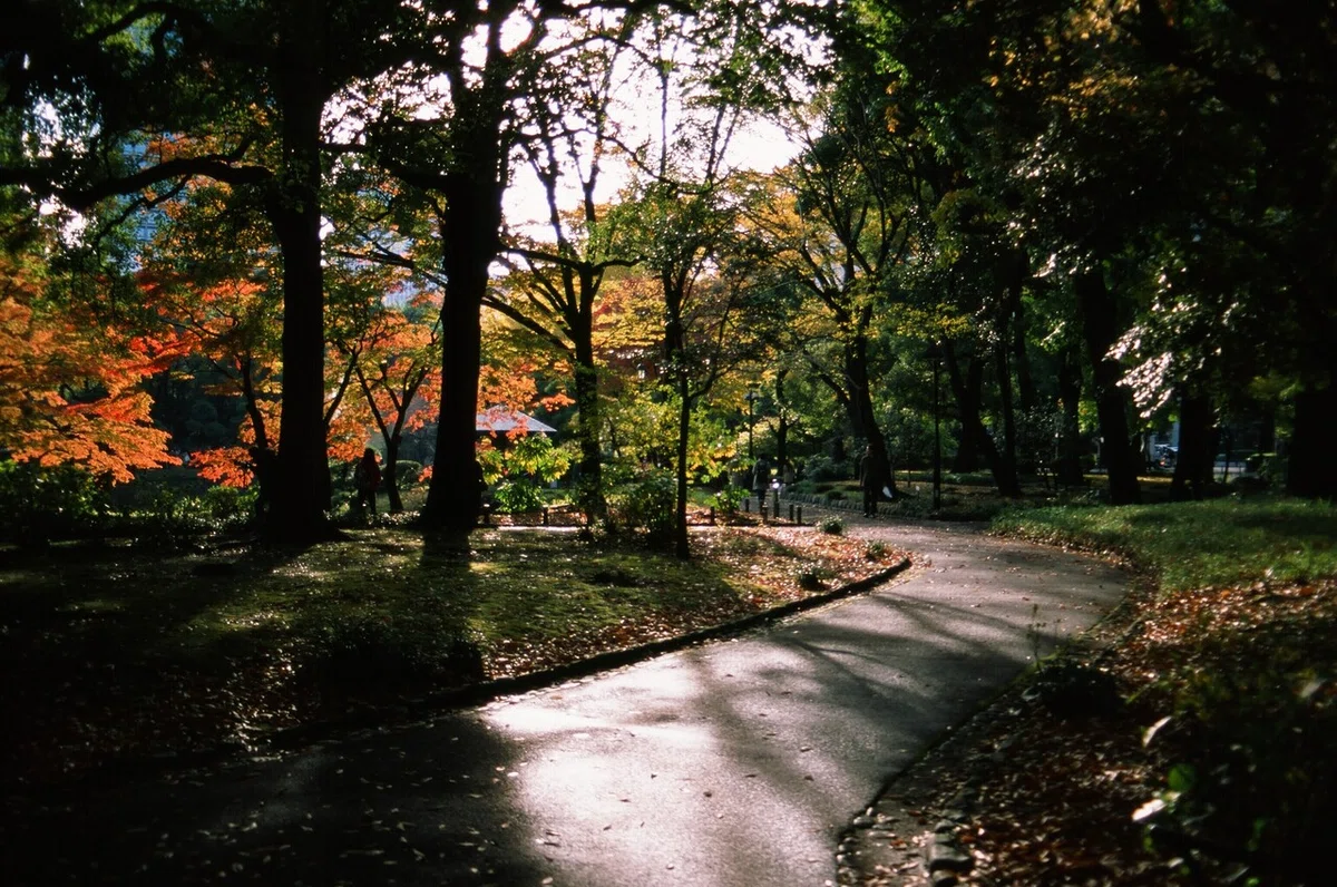 画像18