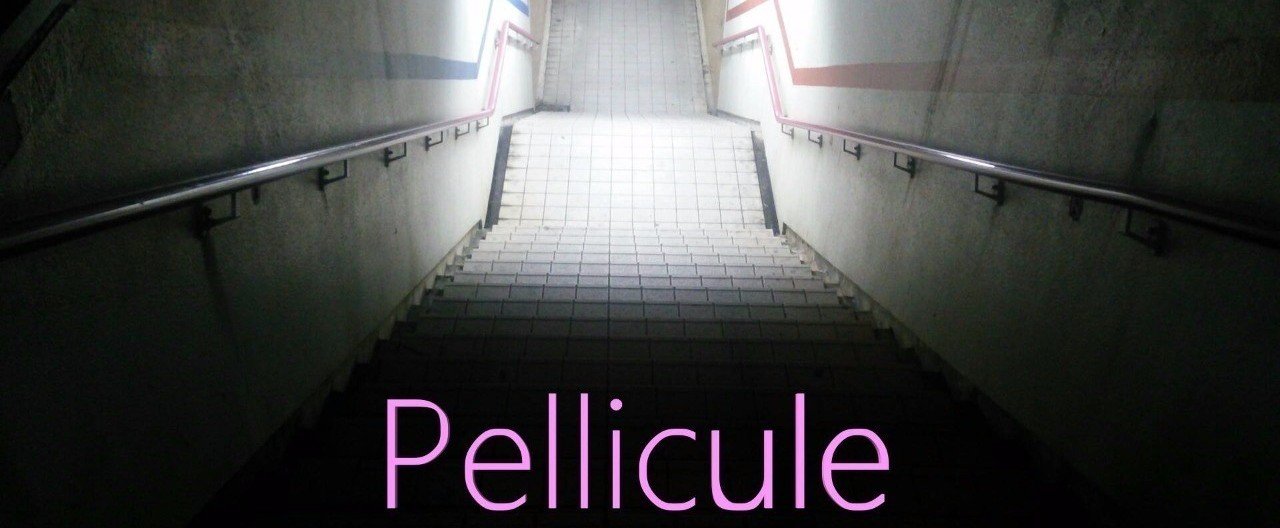 Pellicule の新着タグ記事一覧 Note つくる つながる とどける