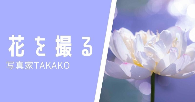 花の撮影で大切にしていること 写真家 清水貴子 Note