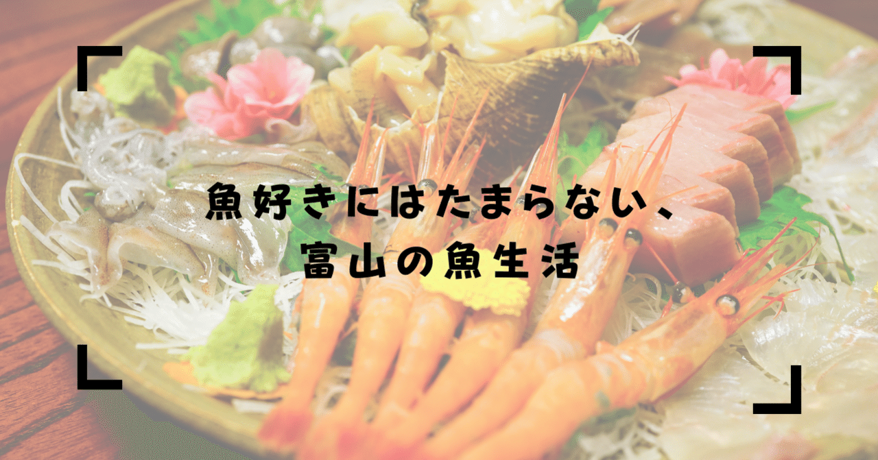 魚好きにはたまらない 富山の魚生活 とやまお試し移住 ためスモ Tamesumo Note