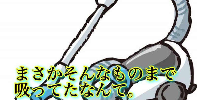 1人で笑える掃除機で吸ったときに中に入ってたヤバいもの4選