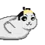 群青ちきん