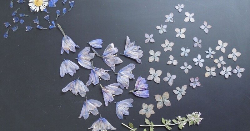 自分のことを話さない人の頭の中 あおこ note