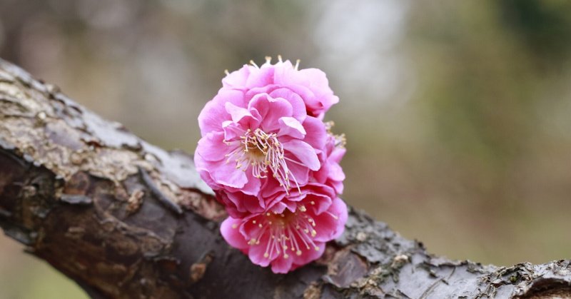 負のオーラを発している人には関わらないことです 負のオーラを持つ人を相手にするのはやめましょう ミラクル Note