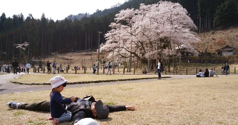 桜の花咲く頃は どる Note