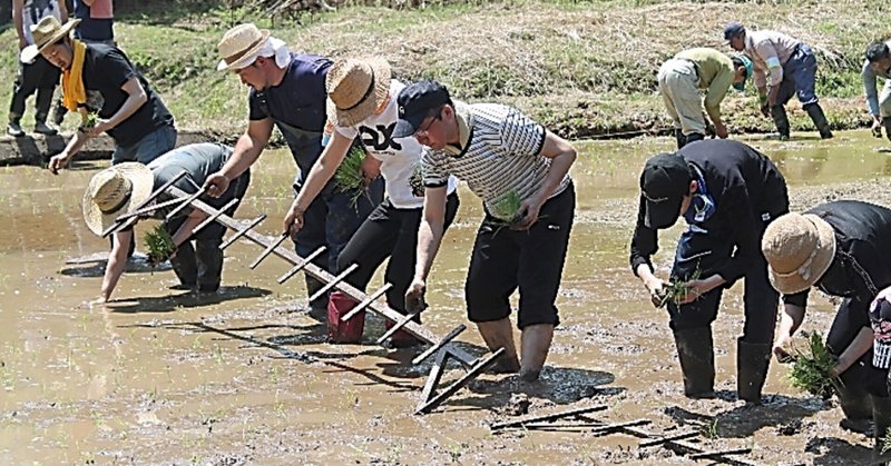 収益向上狙い稲作特化　故郷の美しい自然環境守る