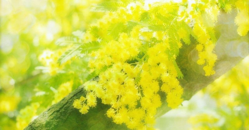 春の肌荒れは花粉症が原因 花粉症による肌荒れはこうやって治す 山口ゆり Note