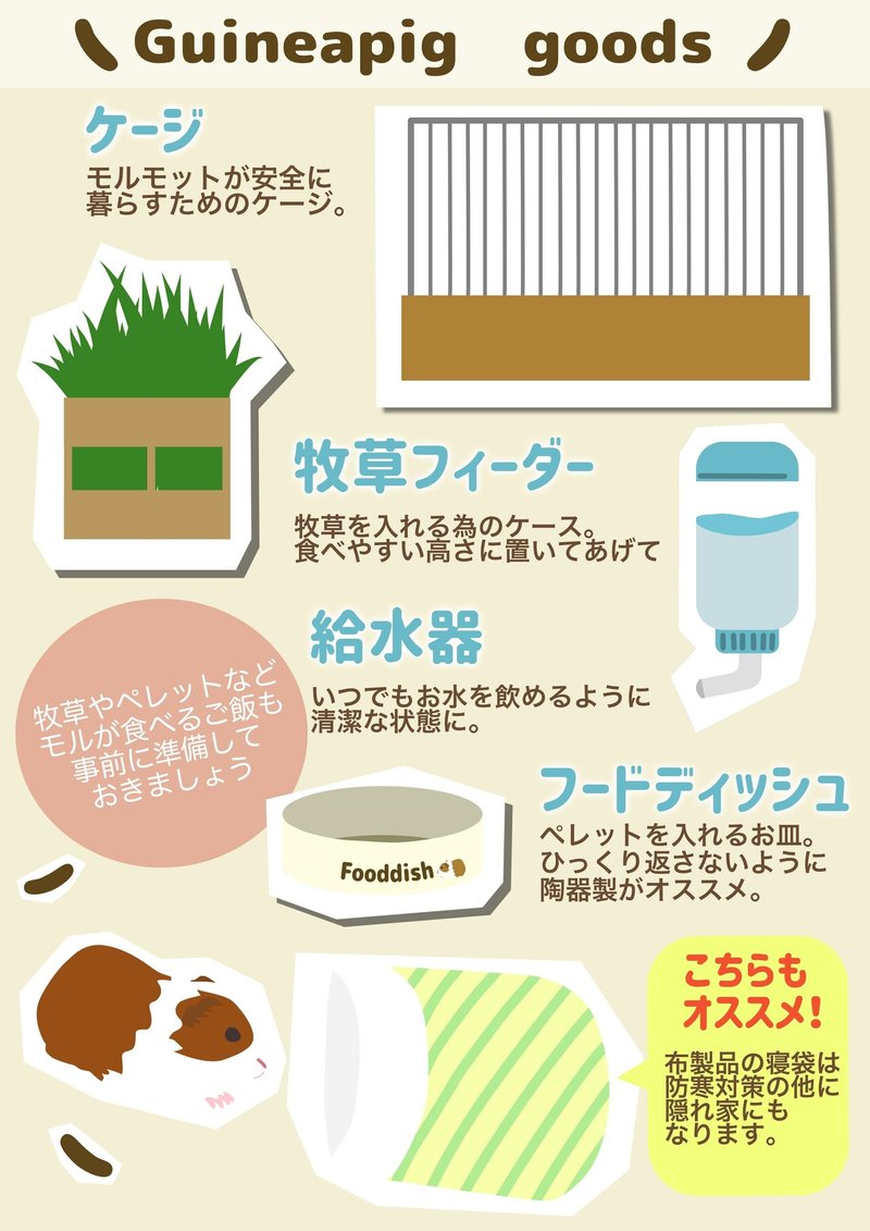 モルモットの雑誌が出たら良いなと思った話 Licht 小野りひと イラストレーター Note モルモットの雑誌が出たら良いなと思った話 Licht 小野りひと イラストレーター Note