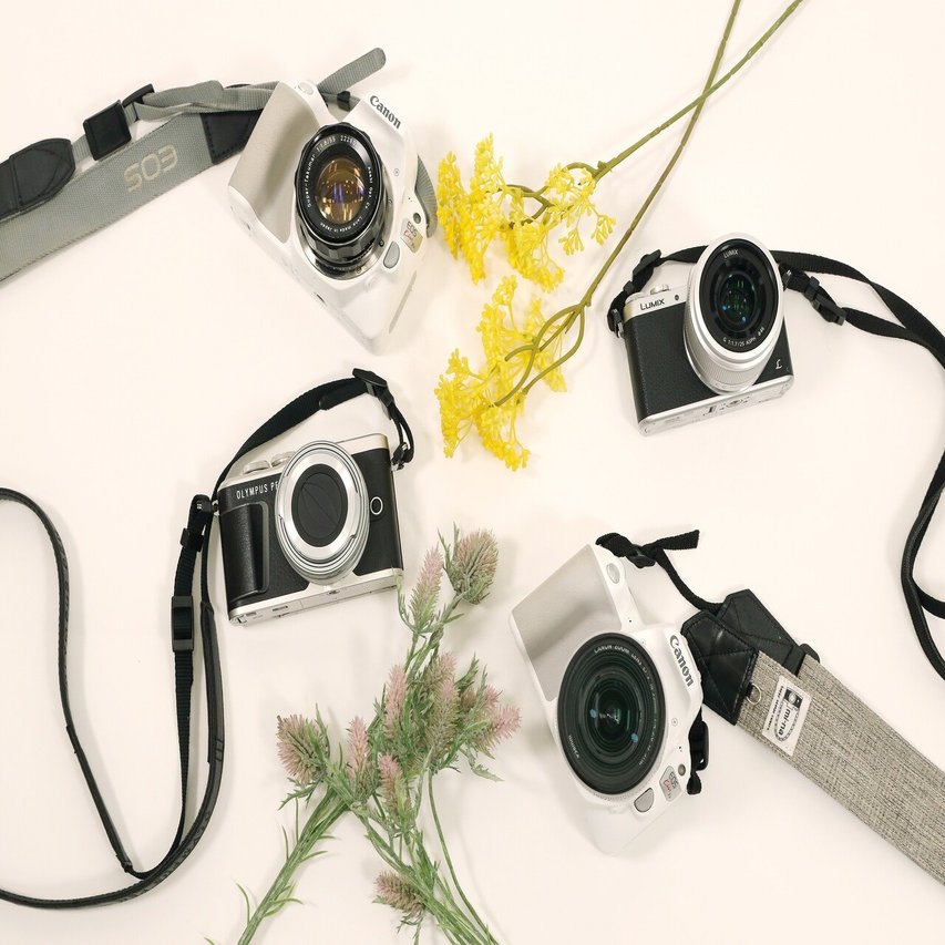 社内のカメラ旅好きを集めたsnapガールズのカメラ談議 エース Ace Co Ltd