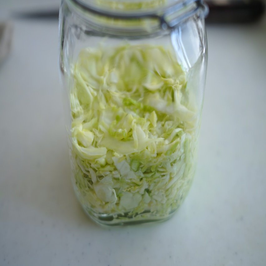 発酵ラボ 第4回 乳酸発酵の基本 ザワークラウト 樋口直哉 Travelingfoodlab Note