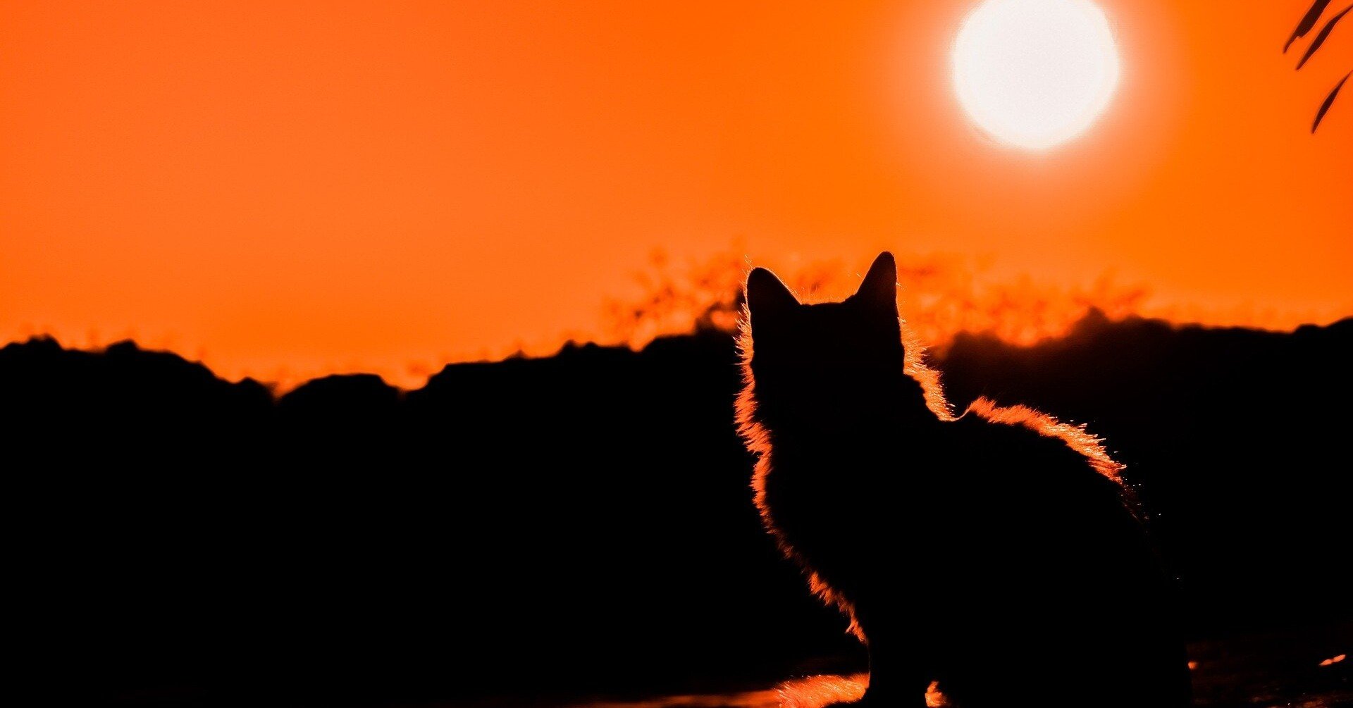 丙種ガス主任技術者の難易度は やや難しい Shibumiya Note