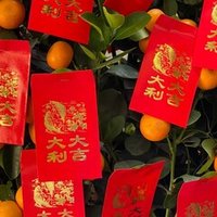 追憶と 踊りながら ムヴィオラ ムヴィオラ Note