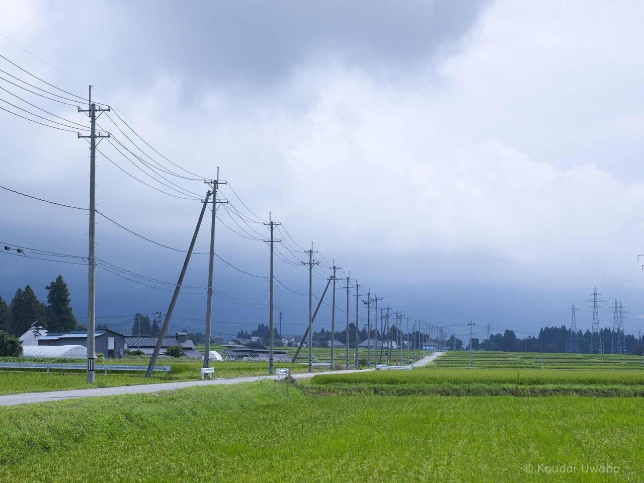 一本道のリーダー 上保 昂大 Note 一本道のリーダー 上保 昂大 Note