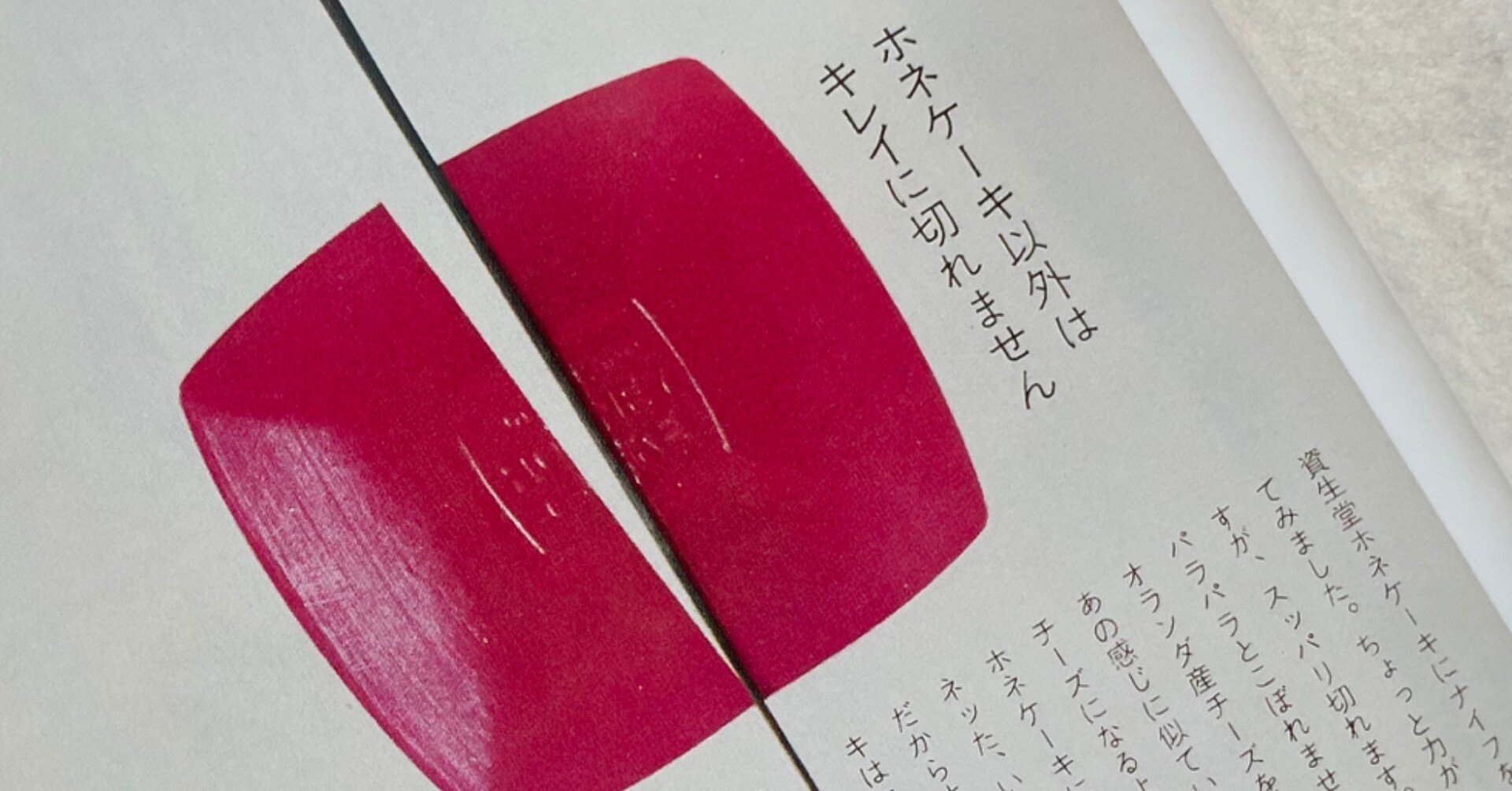 石岡瑛子 プロフェッショナル