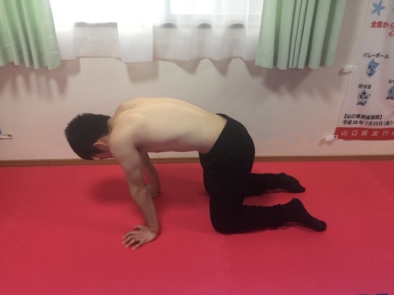 立甲について 児島 和也 Note 立甲について 児島 和也 Note