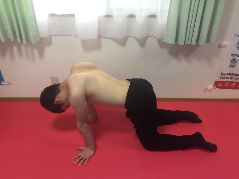 立甲について 児島 和也 Note 立甲について 児島 和也 Note