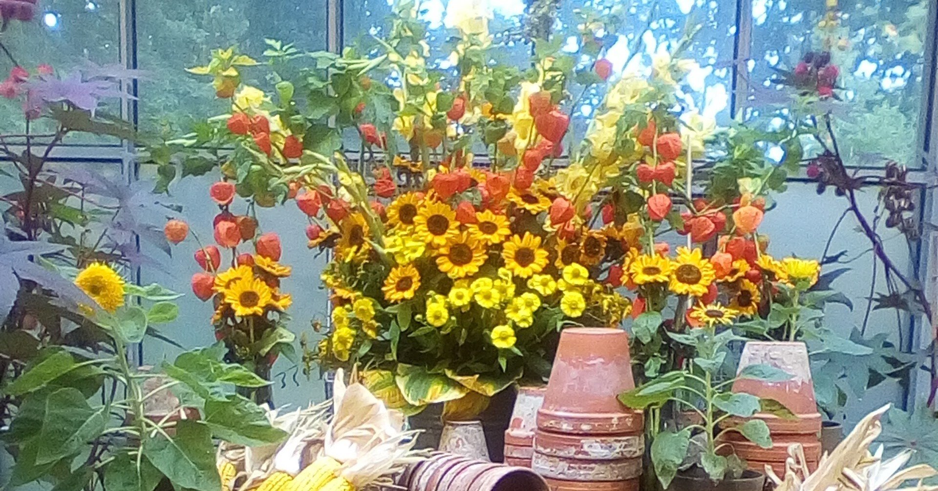 星めぐりの歌 English Lyrics Myumimi Note