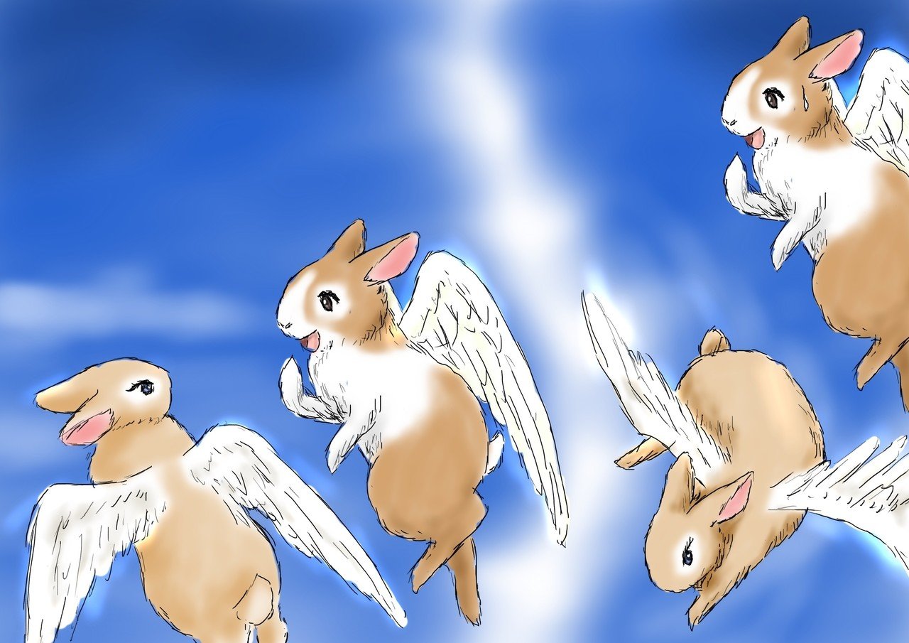 ある女の子の天使うさぎ」おんなのこと天使うさぎたち86｜AngelRabbits