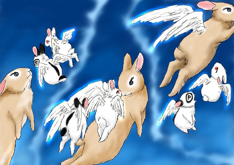 ある女の子の天使うさぎ おんなのこと天使うさぎたち86 Angelrabbits Note ある女の子の天使うさぎ おんなのこと天使うさぎたち86 Angelrabbits Note
