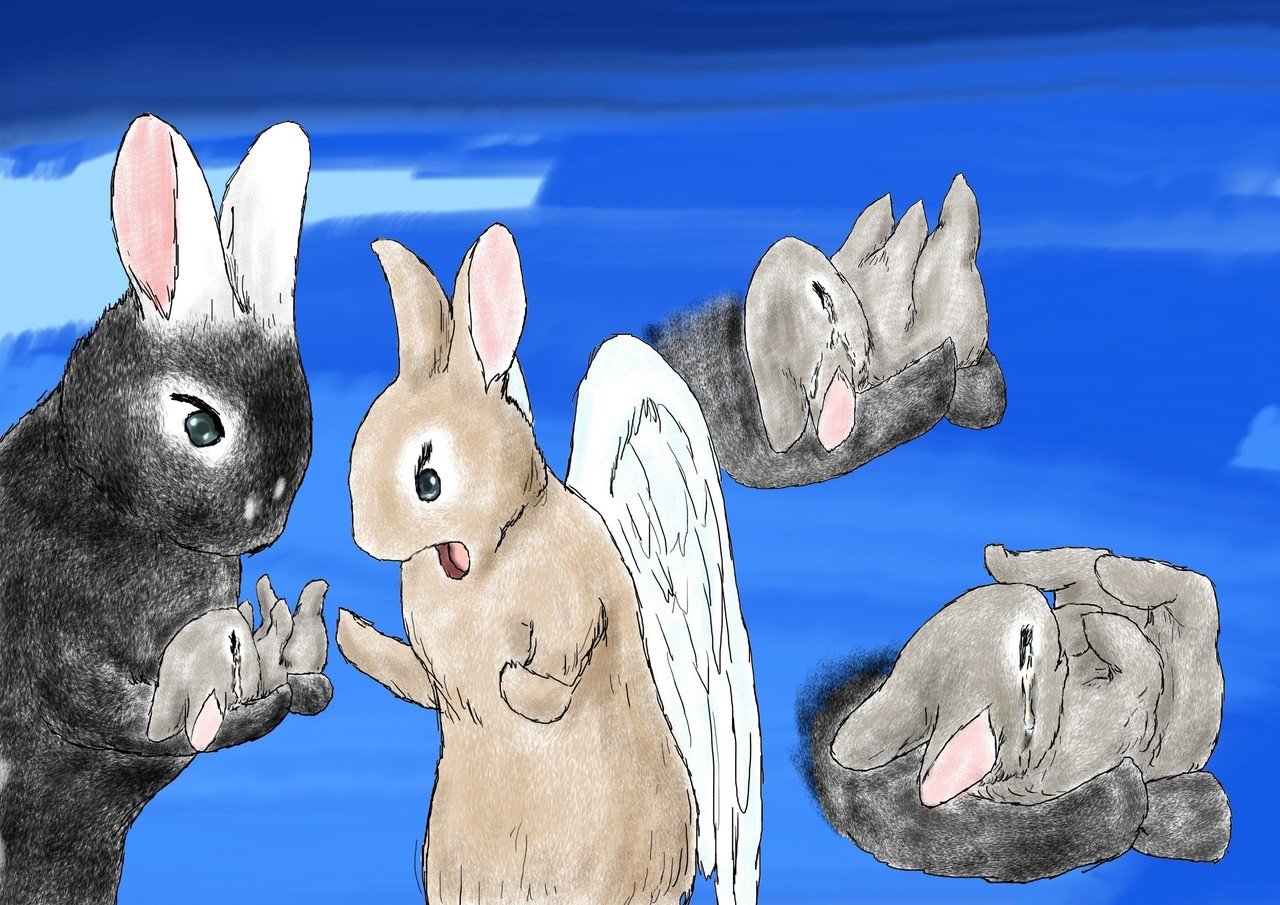 羽の天使うさぎちゃん♡ 羽の天使うさぎちゃん♡