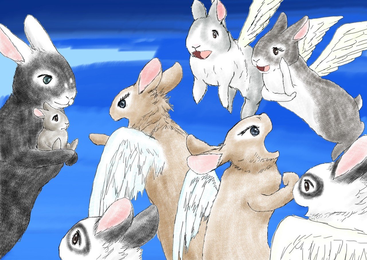 ある女の子の天使うさぎ」おんなのこと天使うさぎたち86｜AngelRabbits