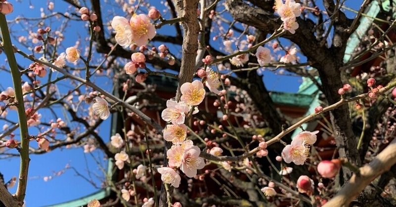 怒りの感情が苦手な私が 怒り について考えてみた 松岡澄江 キャリアコンサルタント Note
