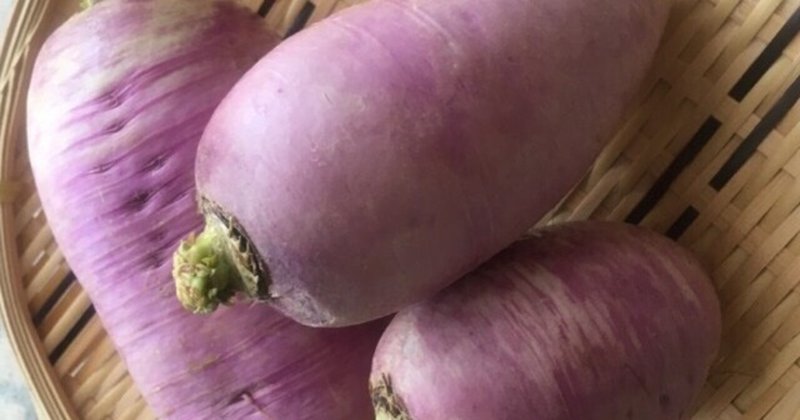 京紫大根の甘酢漬けの作り方 Sally33 Note