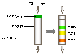 クロマトグラフィーとは Gelate ジェレイト Note