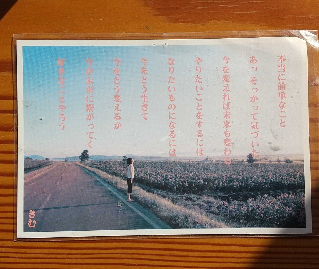 きむさんのポストカード｜Mio Suzuki