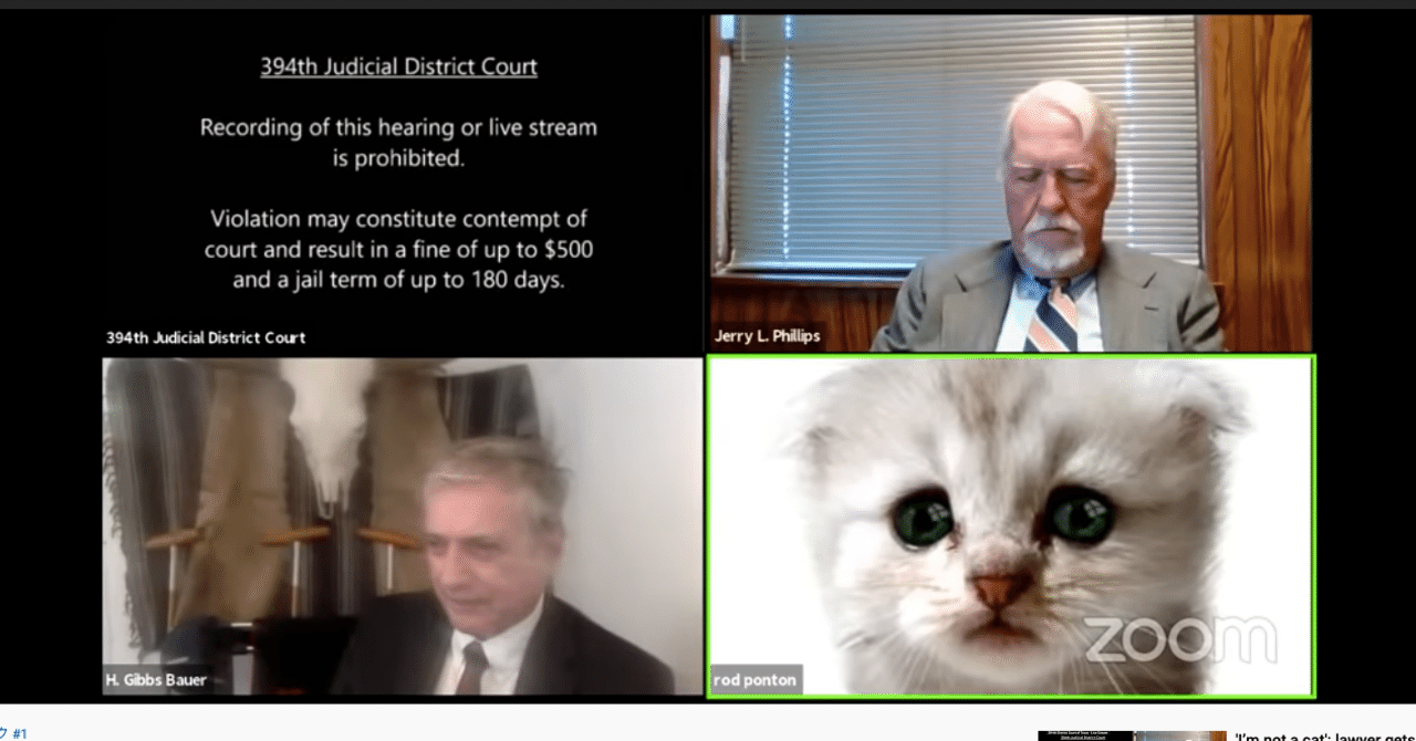 Zoom 最新ハプニング 私は猫ではありません リモートでの法廷出席で猫になった弁護士 大焦り Niena Hino 日野 江都子 Ny在住 戦略非言語研究家 国際イメージ コンサルタント Note Zoom 最新ハプニング 私は猫ではありません リモートでの法廷出席で猫になった弁護士 大焦り Niena Hino 日野 江都子 Ny在住 戦略非言語研究家 国際イメージ コンサルタント Note