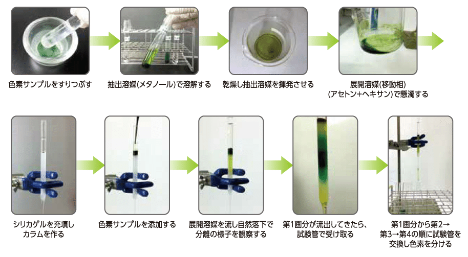 クロマトグラフィーとは Gelate ジェレイト Note クロマトグラフィーとは Gelate ジェレイト Note