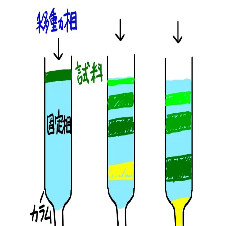 クロマトグラフィーとは Gelate ジェレイト Note