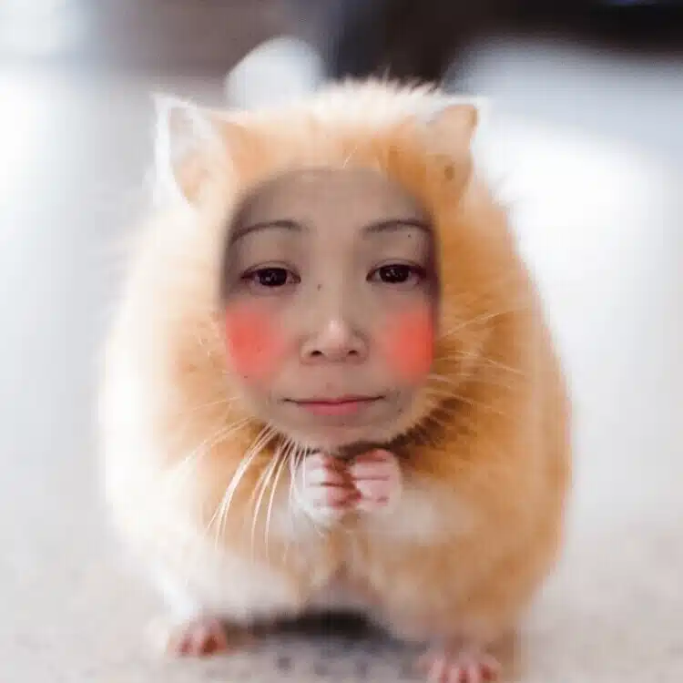 こう