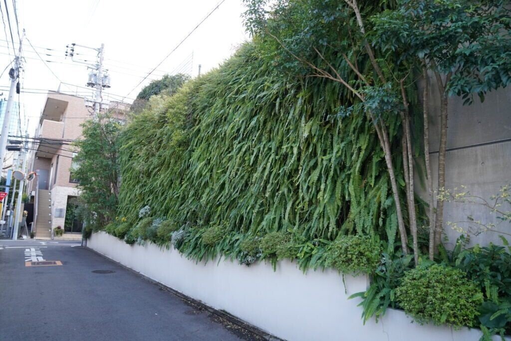 渋谷で見れる安藤忠雄建築！ 青山フェアリーハウス（旧神宮前の