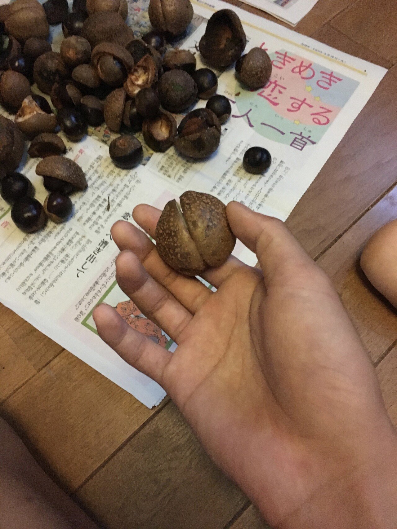 樹木図鑑 Vol 6 トチノキ 優しいやつには気をつけろ Harunire0321 Note 樹木図鑑 Vol 6 トチノキ 優しいやつには気をつけろ Harunire0321 Note