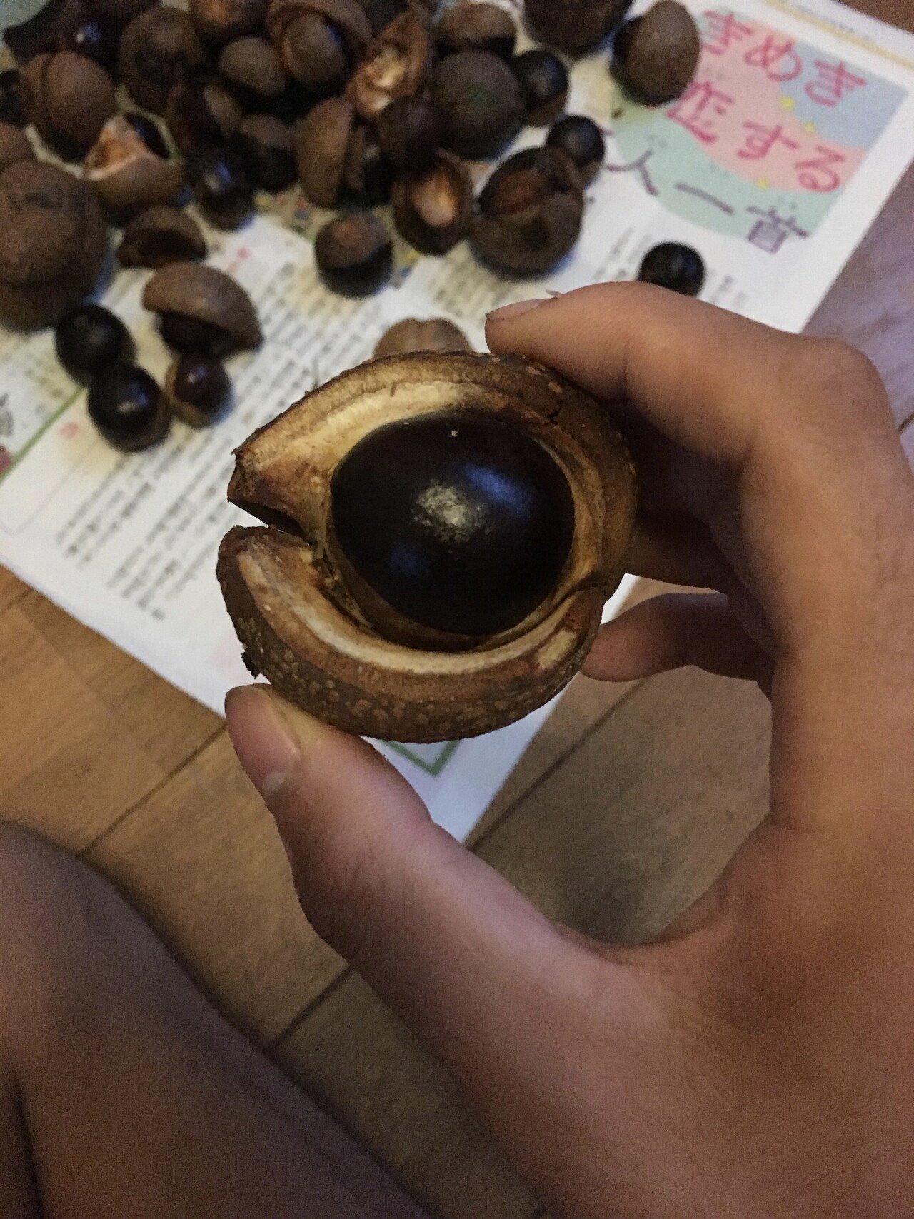 樹木図鑑 Vol 6 トチノキ 優しいやつには気をつけろ Harunire0321 Note 樹木図鑑 Vol 6 トチノキ 優しいやつには気をつけろ Harunire0321 Note