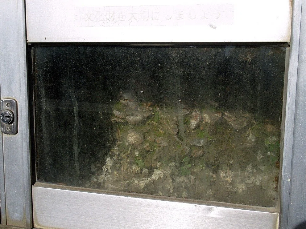 3断層窓
