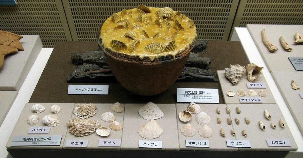 5堀口貝塚貝類