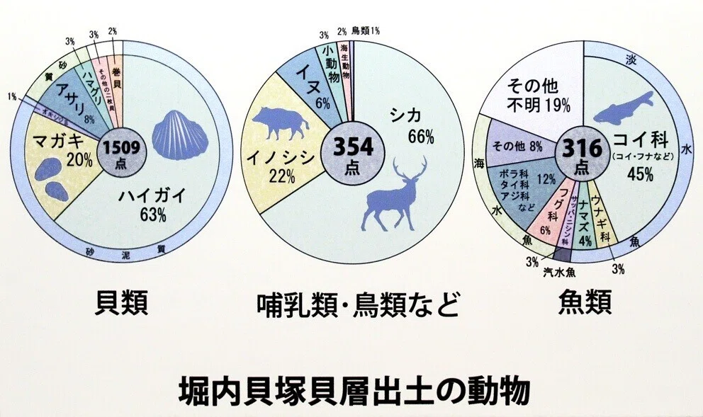 6堀内貝塚貝層出土の動物の割合