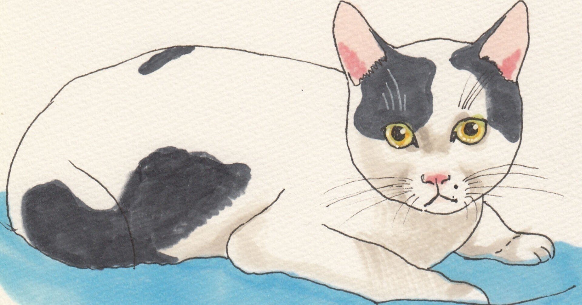 スラング英語: Pussy｜かわった教師@ネイティブ英語🇺🇲｜note