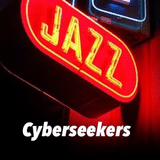 Cyberseekers