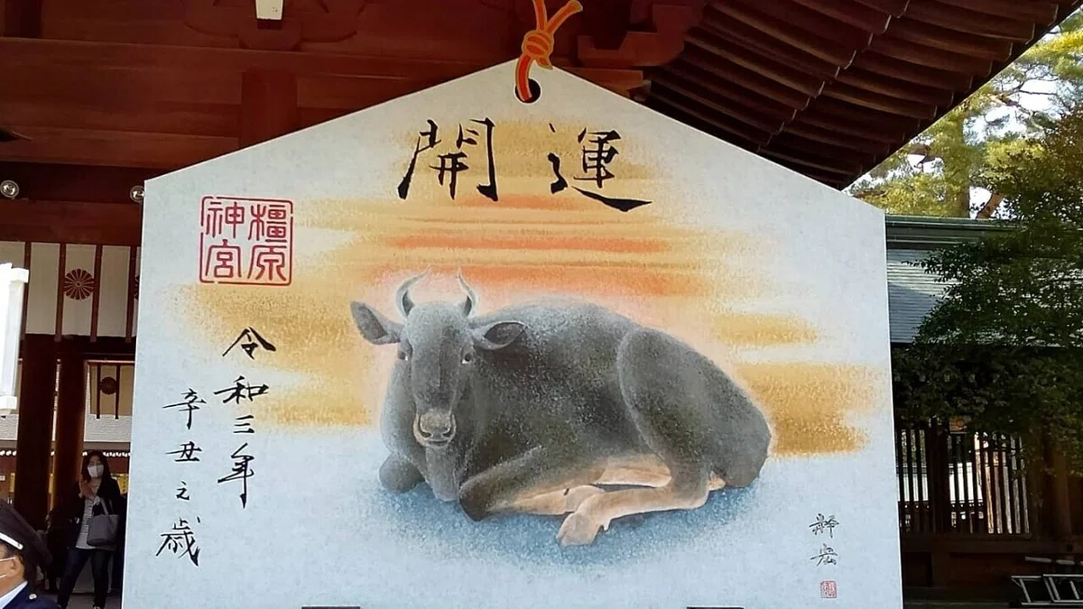 画像2