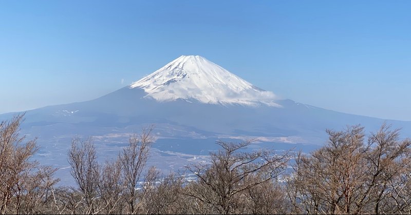 りんこの日常ブログ 子育て 鳥居りんこ Note