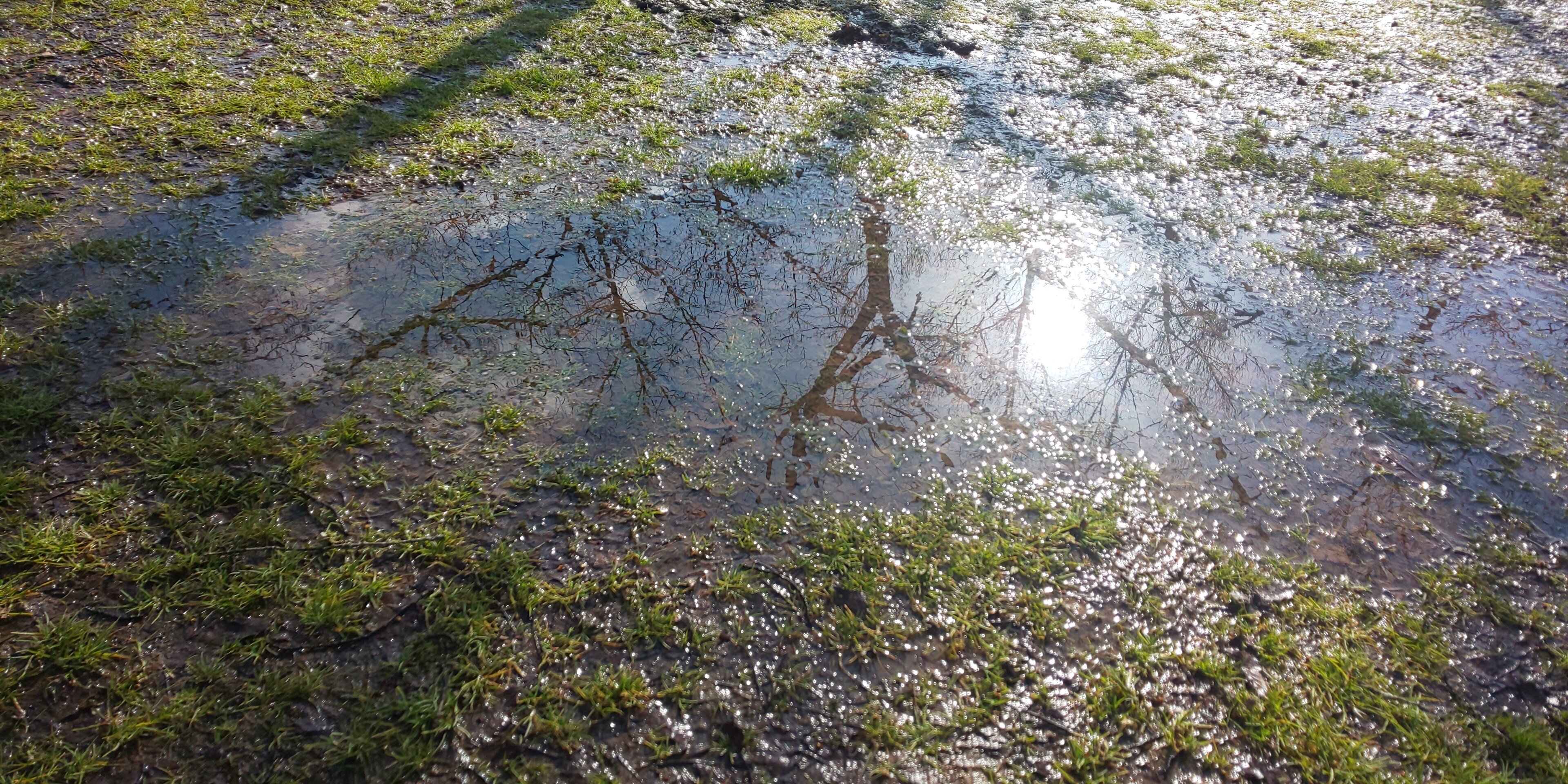 水溜まりに映る風景 の新着タグ記事一覧 Note つくる つながる とどける 水溜まりに映る風景 の新着タグ記事一覧 Note つくる つながる とどける