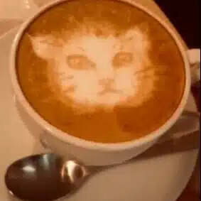 cafe77nana
