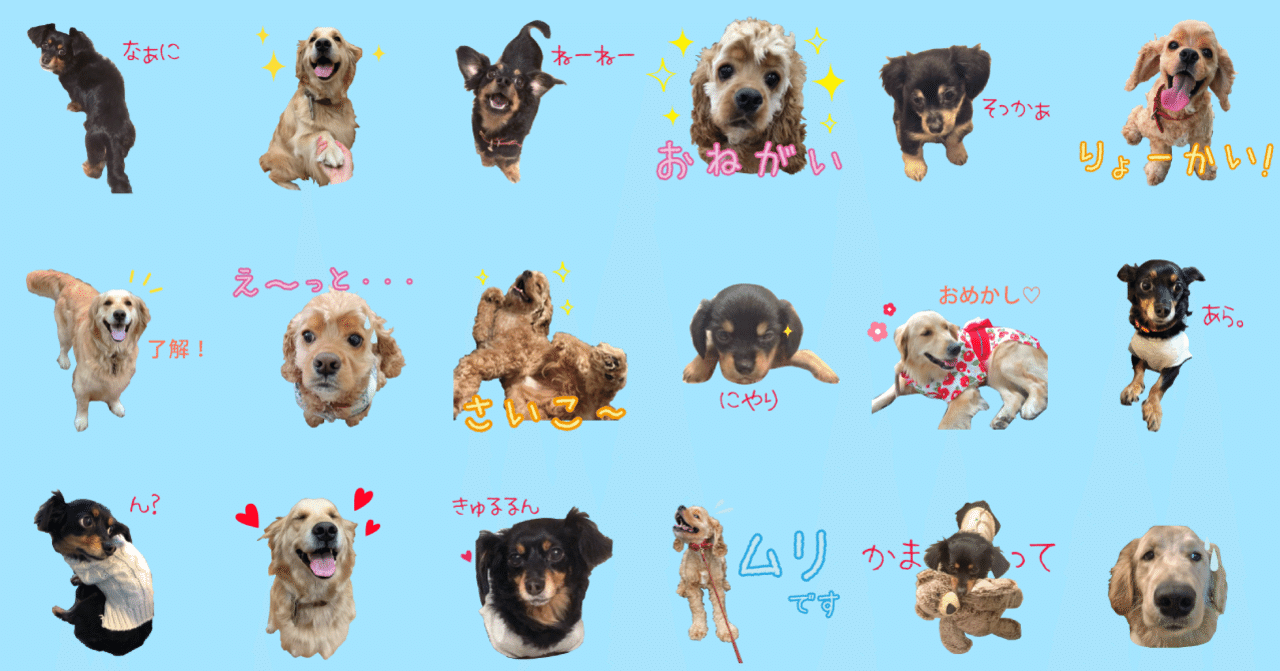 アメコカ チワックス ゴールデン うちの犬たちlineスタンプ Misato Note