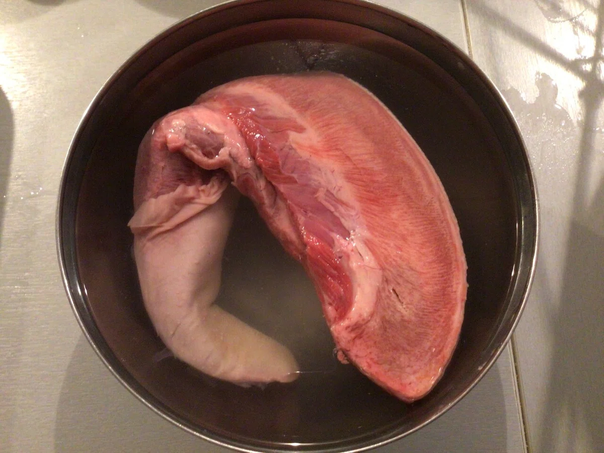 画像4