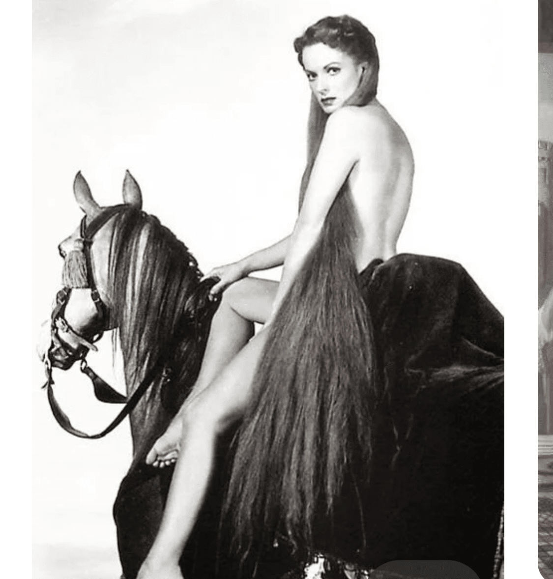 レディ ゴディバと愛のチョコレート ノリノリ Note レディ ゴディバと愛のチョコレート ノリノリ Note