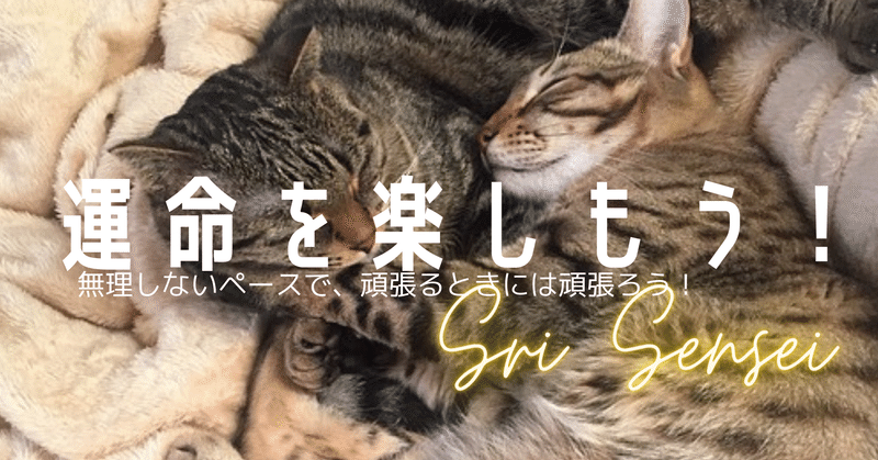 サイトマップのサイトマップ 夢と人生と運命 私の5つの記事 シリー先生 学校で教えてくれない人生と運命の話 Note