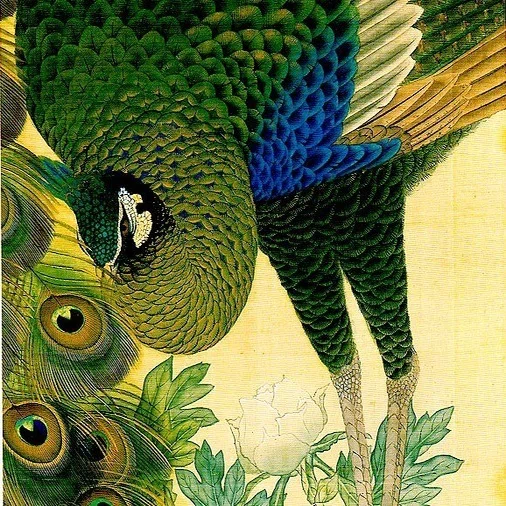 北宋時代 孔雀明王像｜コーギー｜日本画note